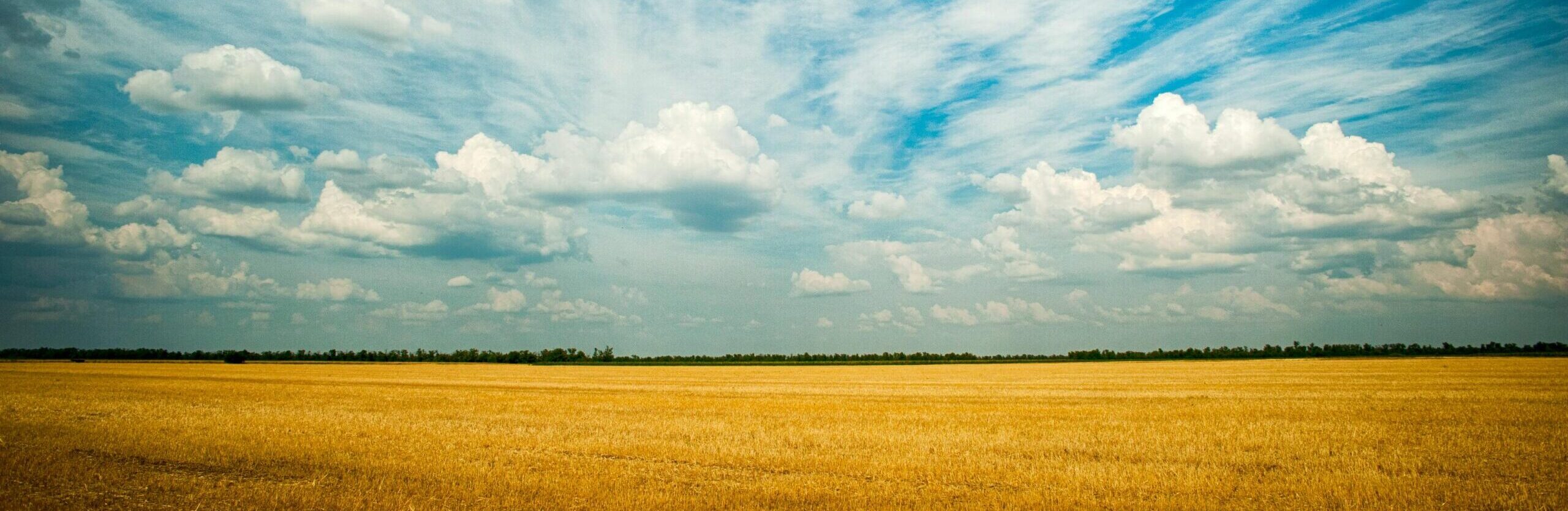 CloudsYellowFields-scaled
