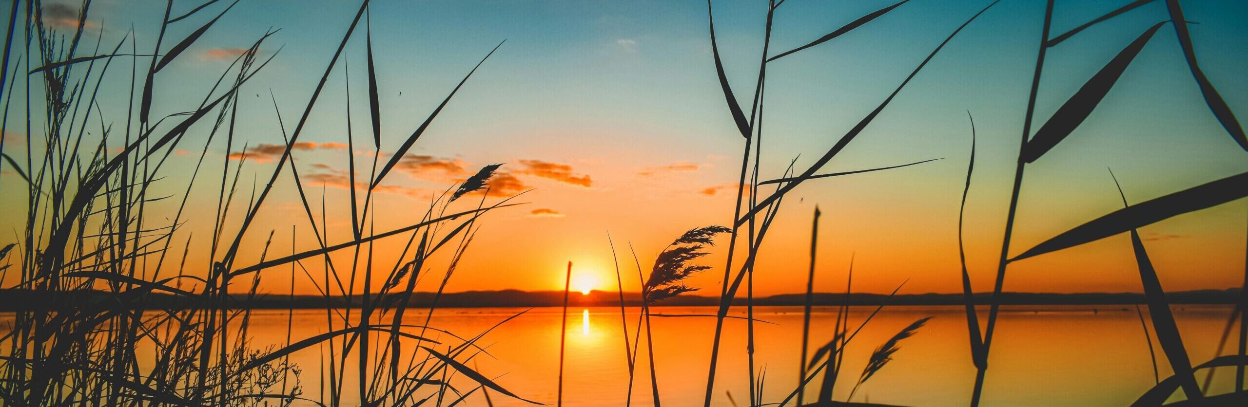 2. Sunset with Grass